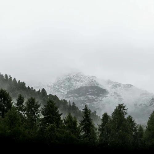 Popup z newsletterem