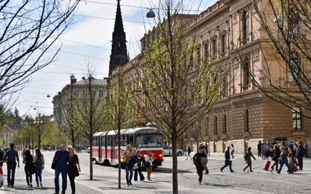 Zmiany w zatrudnianiu Polaków w Niemczech w 2025 roku