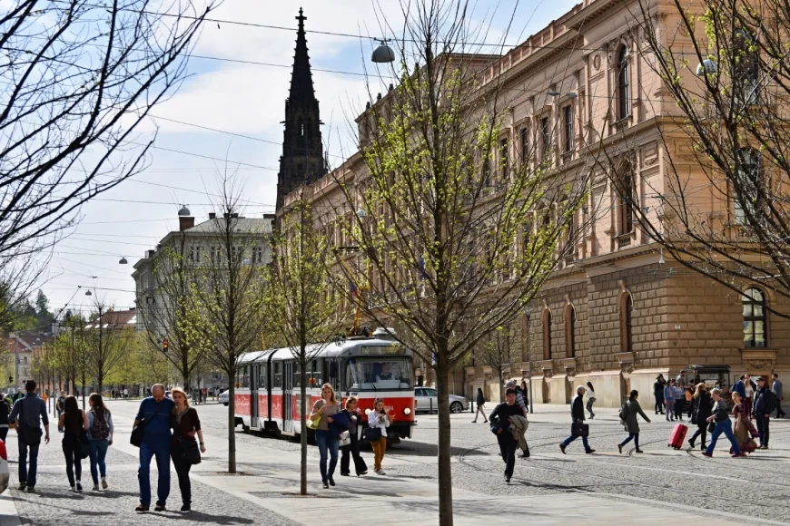 Zmiany w zatrudnianiu Polaków w Niemczech w 2025 roku