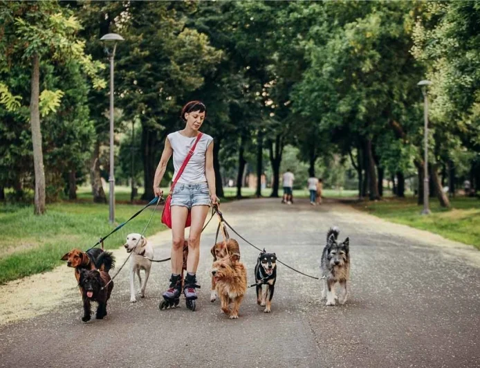 Zwierzęta domowe w Niemczech – przepisy, podatki i pozwolenia. Co musisz wiedzieć, zanim przygarniesz pupila