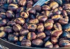 Kasztany jadalne – jesienny skarb, który leczy ciało i duszę