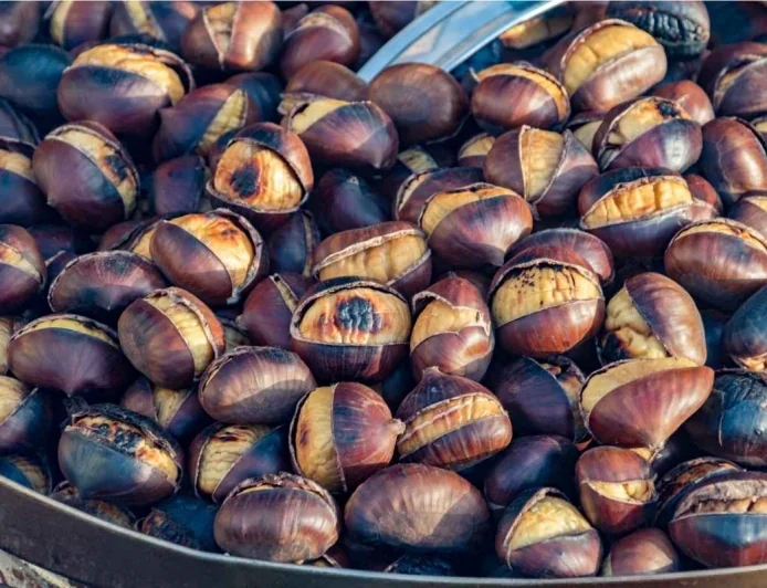 Kasztany jadalne – jesienny skarb, który leczy ciało i duszę