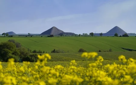 „Piramidy” w Niemczech. Jak hałdy górnicze zmieniły się w cel wycieczek