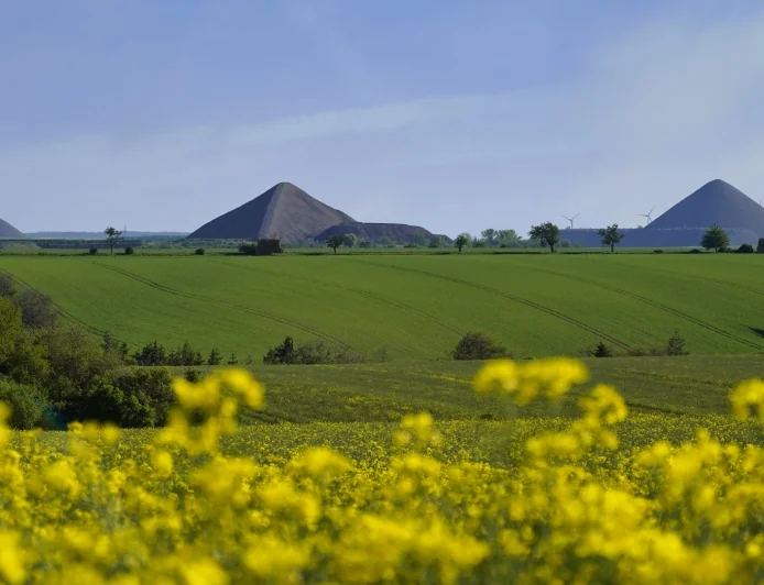 „Piramidy” w Niemczech. Jak hałdy górnicze zmieniły się w cel wycieczek