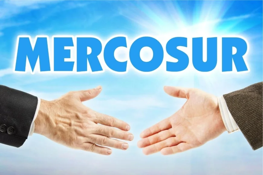 Mercosur: największa strefa wolnego handlu. Dlaczego Berlin mówi „tak”, a Paryż po raz pierwszy mówi „nie”